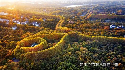 南京鍾山|南京钟山风景区景点参观指南（时间+预约+门票优惠）